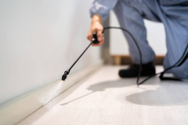 Licensed Ant Control service in Syracuse, KS - Nex Pest Control