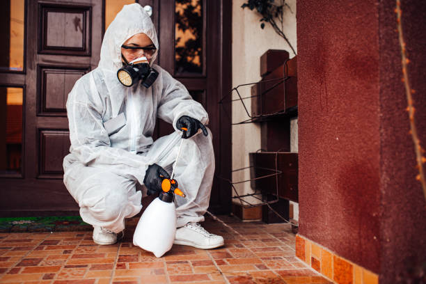 Reliable Ant Control contractor in Syracuse, KS by Nex Pest Control